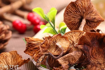 榛蘑和蘿卜相克嗎？榛蘑能不能和蘿卜一起吃？