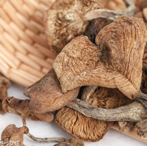 榛蘑的嘌呤含量 嘌呤是什么？