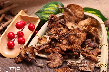 榛蘑的好處 榛蘑對(duì)人有什么益處？