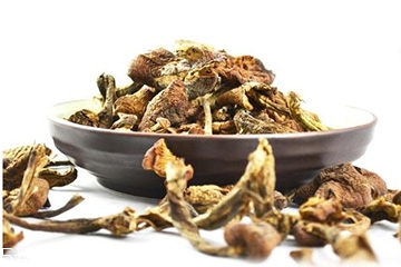 榛蘑能和土豆一起吃嗎？榛蘑和土豆一起吃的功效