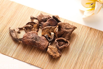 榛蘑是蘑菇嗎？榛蘑是什么蘑菇？