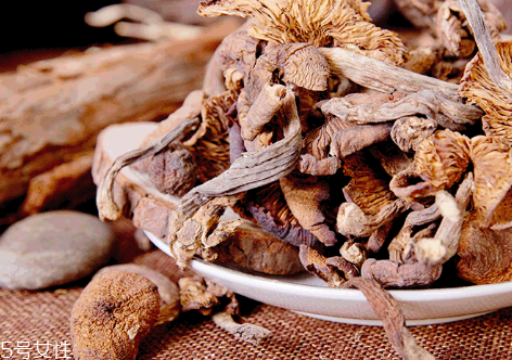 榛蘑的種植 榛蘑怎么培育？