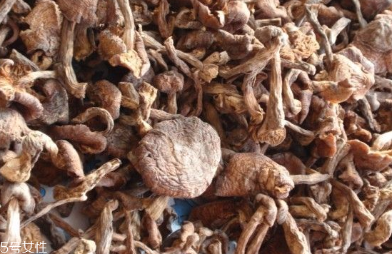 榛蘑和木耳的區(qū)別 榛蘑和木耳能一起吃嗎？