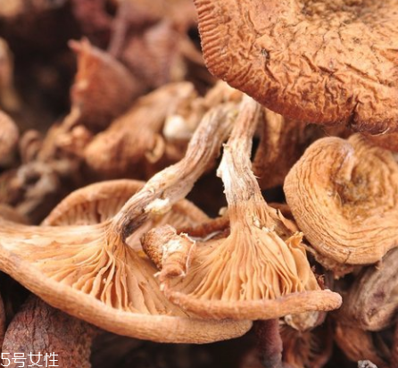 榛蘑和木耳的區(qū)別 榛蘑和木耳能一起吃嗎？