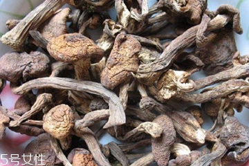 榛蘑和木耳的區(qū)別 榛蘑和木耳能一起吃嗎？