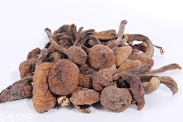 榛蘑的宜忌人群 哪些人適合吃榛蘑？