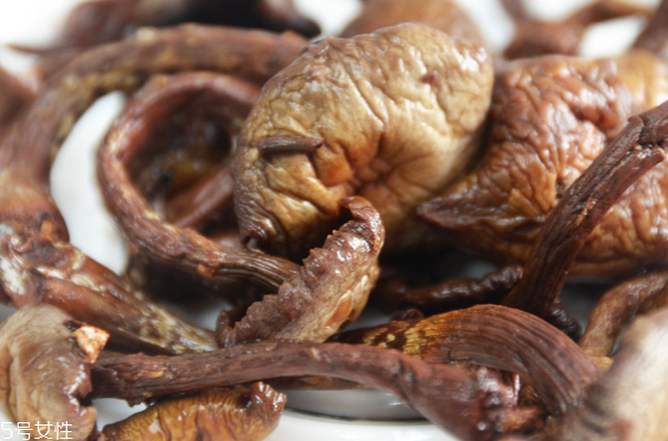 榛蘑的用法 榛蘑的用量 榛蘑的用法 榛蘑的用量