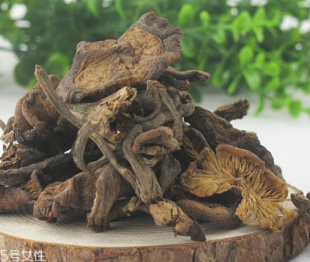 榛蘑能和豆腐一起吃嗎？榛蘑豆腐的做法