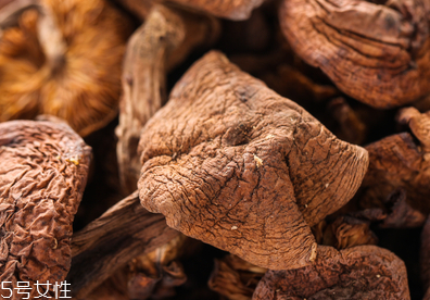 榛蘑多久能成熟？榛蘑的成熟期