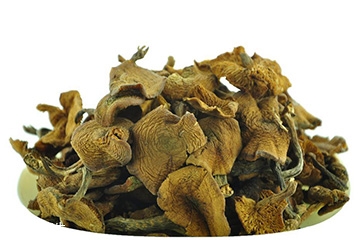 榛蘑怎么泡發(fā)？榛蘑怎么清洗？