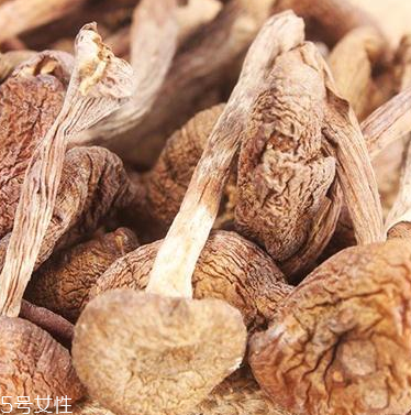 榛蘑怎么泡發(fā)？榛蘑怎么清洗？