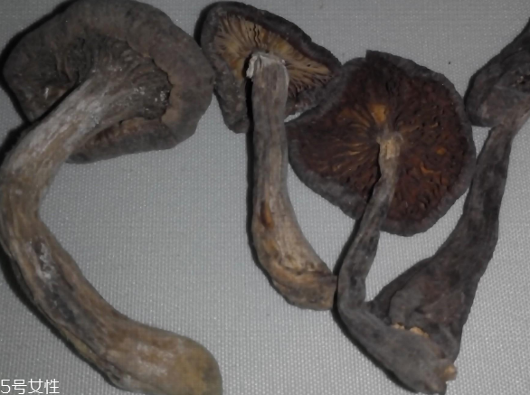 榛蘑怎么泡發(fā)？榛蘑怎么清洗？