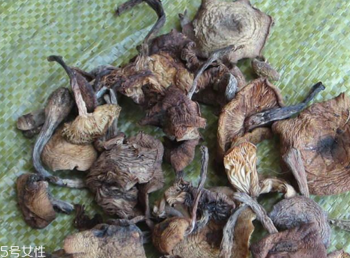 榛蘑能保存多久？干榛蘑怎么保存最好？