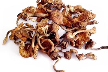 榛蘑可以帶到國(guó)外嗎？榛蘑可以帶上動(dòng)車嗎？