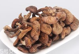 榛蘑的熱量 榛蘑會讓人長胖嗎 榛蘑的熱量 榛蘑會讓人長胖嗎