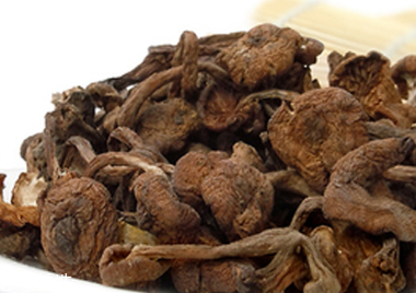 榛蘑可以煲鴨肉嗎？榛蘑可以煲鴨肉