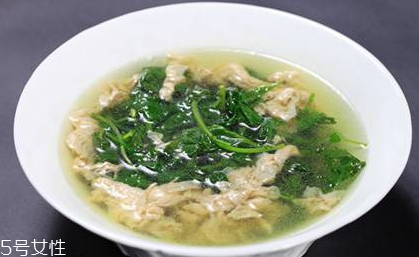 菊花腦的種植 菊花腦怎么種？