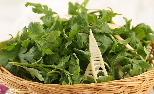 菊花腦可以涼拌嗎？菊花腦涼拌好吃嗎？