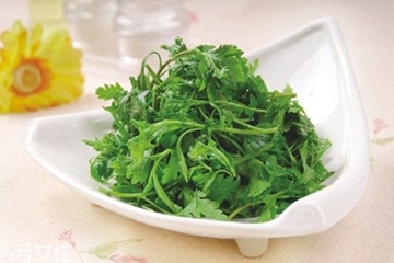 菊花腦可以給小孩吃嗎？小孩能吃菊花腦嗎？