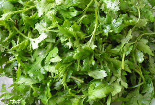 菊花腦是苦的嗎？菊花腦苦不苦？