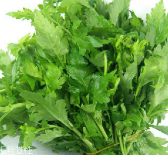 菊花腦是苦的嗎？菊花腦苦不苦？