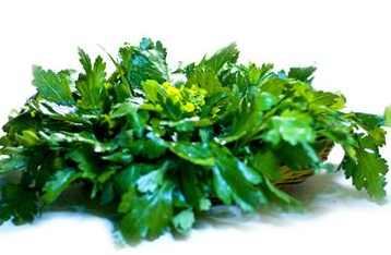 菊花腦和南瓜能一起吃嗎？菊花腦能和水果一起吃嗎？