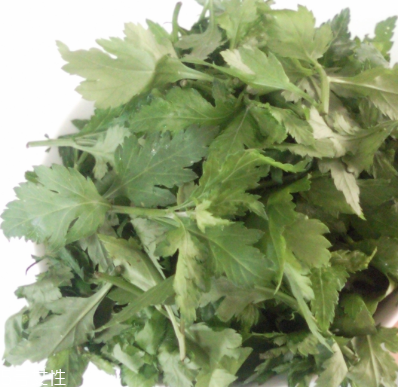 菊花腦怎么挑選？菊花腦選購(gòu)技法