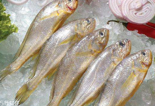 黃花魚是發(fā)物嗎？黃花魚是涼性的嗎？