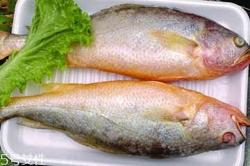 黃花魚是發(fā)物嗎？黃花魚是涼性的嗎？