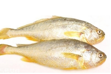 黃花魚清蒸多長(zhǎng)時(shí)間？黃花魚清蒸的做法