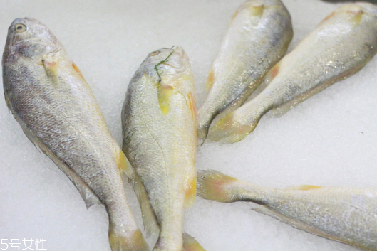 黃花魚清蒸多長(zhǎng)時(shí)間？黃花魚清蒸的做法