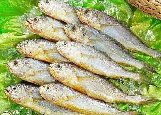 黃花魚去鱗嗎？黃花魚去內(nèi)臟嗎？