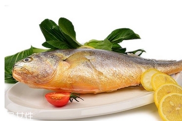 黃花魚為什么都是死的？死黃花魚可以吃嗎？