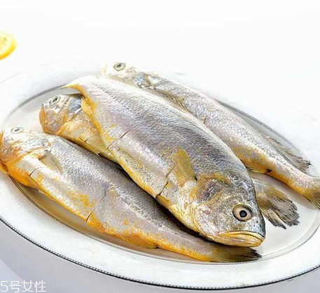 黃花魚(yú)為什么都是死的？死黃花魚(yú)可以吃嗎？