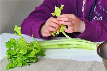 西洋芹怎么切 西洋芹怎么處理好吃 西洋芹怎么切 西洋芹怎么處理好吃
