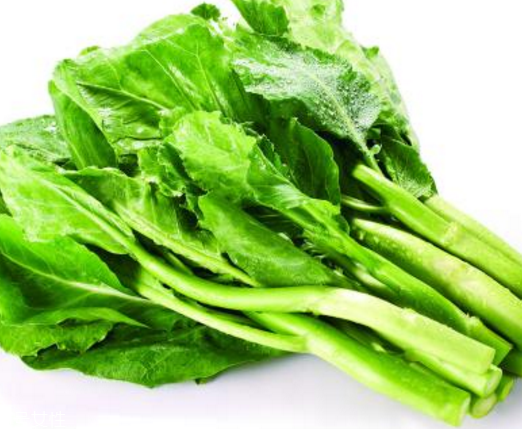 芥蘭是中藥還是蔬菜？芥蘭是蔬菜嗎？