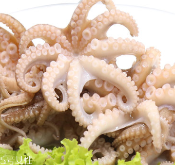 章魚是什么顏色？章魚是什么樣子？