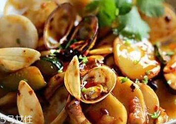 文蛤是什么？文蛤能生吃嗎