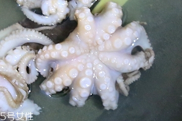 章魚會(huì)噴墨汁嗎？章魚的墨汁能吃嗎？