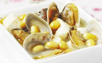 文蛤是不是花甲？文蛤和花甲是同一種嗎？