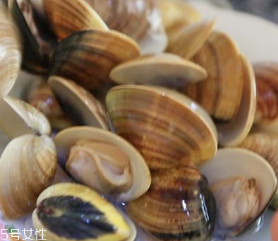 文蛤是海鮮還是河鮮？文蛤是海鮮嗎？