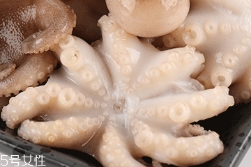 章魚可以炸嗎？章魚能油炸嗎？