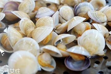 文蛤是淡水還是海水？文蛤是淡水水產(chǎn)嗎？