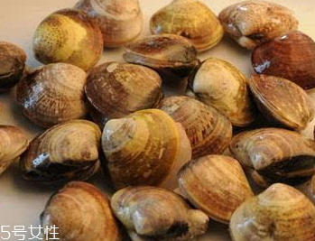 文蛤是冷水煮還是熱水？文蛤是用熱水嗎？