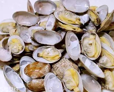 文蛤能做湯嗎？文蛤怎么做湯？