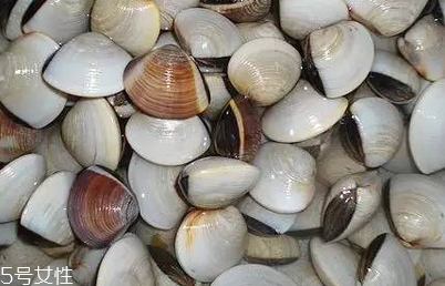 文蛤和花蛤的區(qū)別 文蛤和花蛤是同一種嗎？