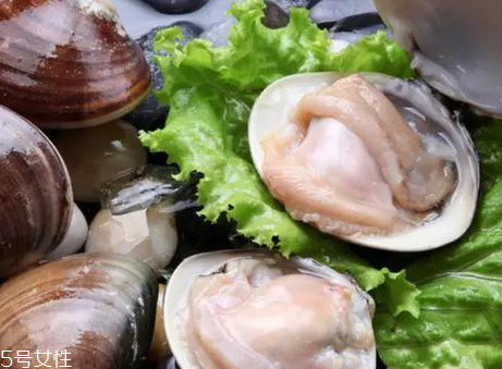文蛤和花蛤的區(qū)別 文蛤和花蛤是同一種嗎？