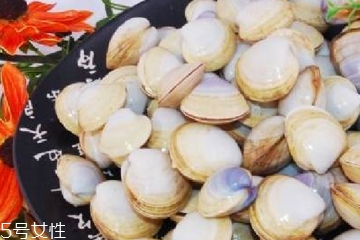 文蛤能放在冰箱里嗎?文蛤怎么保存？