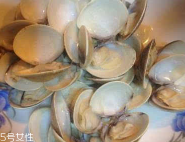 文蛤能給孕婦吃嗎？孕婦能不能吃文蛤？