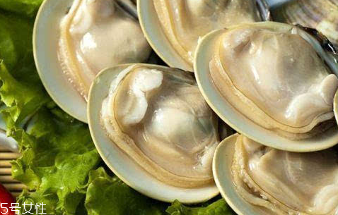 文蛤的養(yǎng)殖 文蛤怎么養(yǎng)？